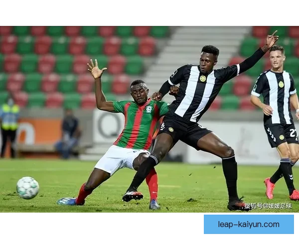 匈牙利技术足球持续提升，展现出备受期待的竞技水平